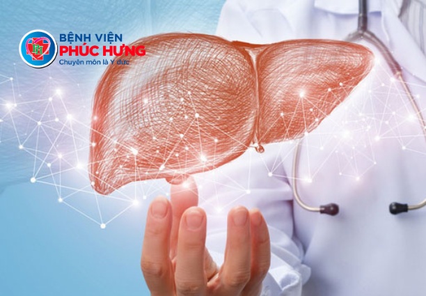 Ai nên thực hiện siêu âm đàn hồi mô gan?