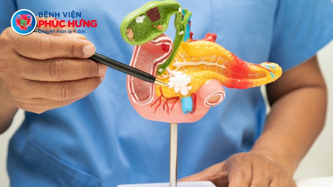 Kỹ thuật lấy sỏi đường mật qua da, qua đường hầm ống Kehr